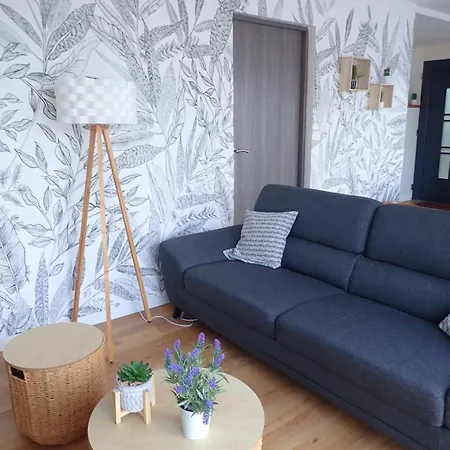 Ria D'etel Maison En Bois Ensoleillee A 150m De La Holiday home