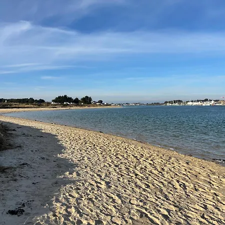 Ria D'etel Maison En Bois Ensoleillee A 150m De La Holiday home *