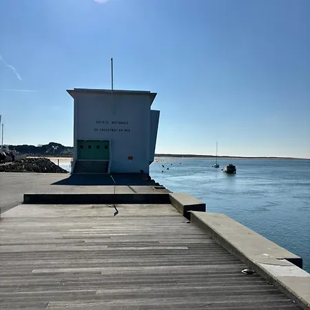 Ria D'etel Maison En Bois Ensoleillee A 150m De La